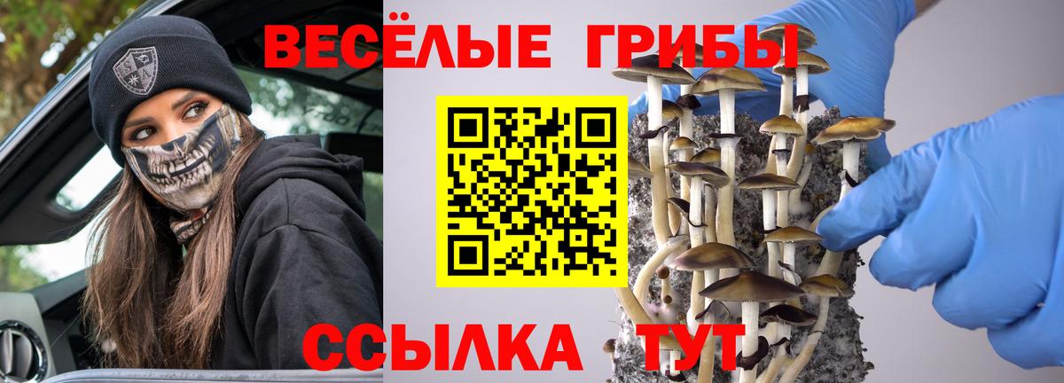 Псилоцибиновые грибы мицелий  дарнет шоп  Воскресенск  Псилоцибиновые грибы Psilocybe  Вход с VPN 