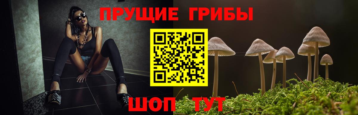 Псилоцибиновые грибы ЛСД Воскресенск